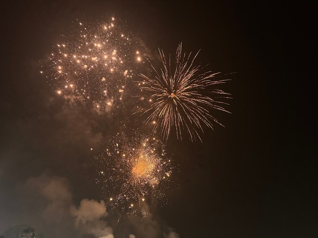 Fireworks and My reaction&nbsp;🥰