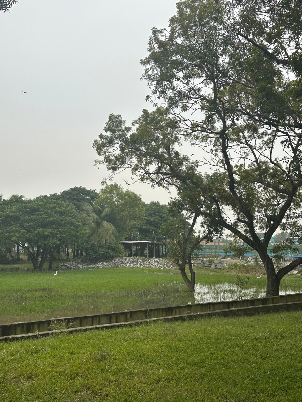 To the people who look up the sky and&nbsp;wish💗